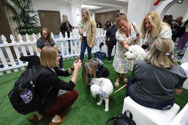 Puppy cuddling at IMEX America 2023